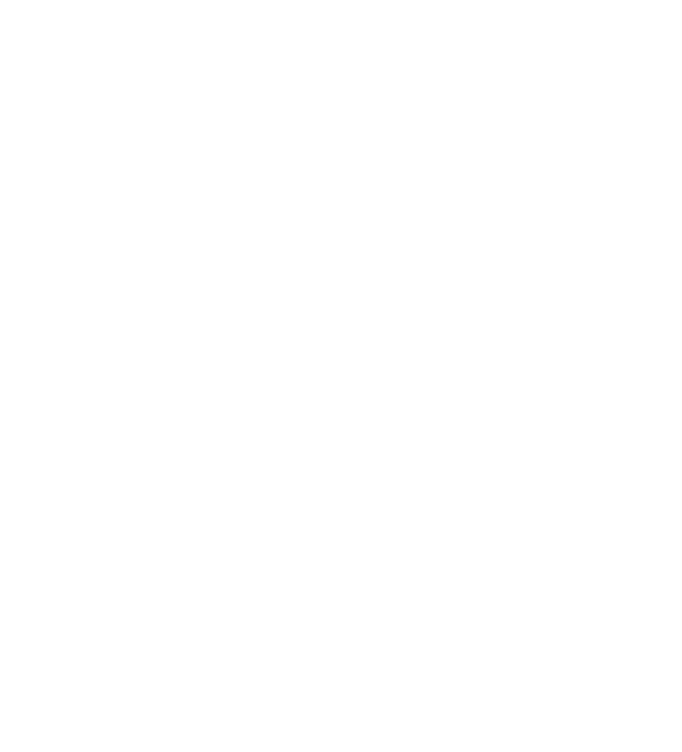 zum-schwan-wfb.de
